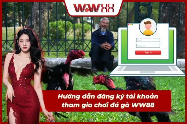 Hướng dẫn cách tham gia giải trí đá gà tại WW88